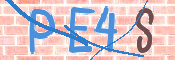 CAPTCHA 驗證圖片