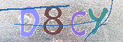 CAPTCHA 驗證圖片