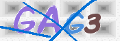 CAPTCHA 驗證圖片