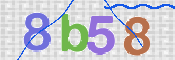 CAPTCHA 驗證圖片