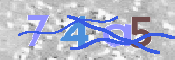 CAPTCHA 驗證圖片