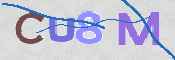 CAPTCHA 驗證圖片