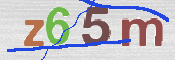 CAPTCHA 驗證圖片