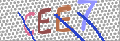 CAPTCHA 驗證圖片