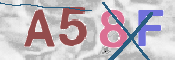 CAPTCHA 驗證圖片