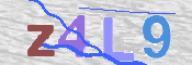 CAPTCHA 驗證圖片