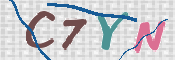 CAPTCHA 驗證圖片