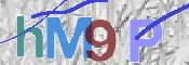 CAPTCHA 驗證圖片