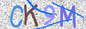 CAPTCHA 驗證圖片