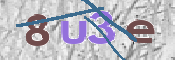 CAPTCHA 驗證圖片