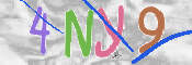 CAPTCHA 驗證圖片