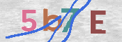 CAPTCHA 驗證圖片