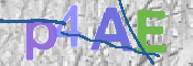 CAPTCHA 驗證圖片