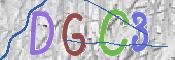 CAPTCHA 驗證圖片