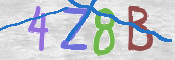 CAPTCHA 驗證圖片