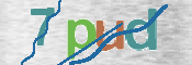 CAPTCHA 驗證圖片
