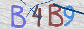 CAPTCHA 驗證圖片