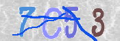 CAPTCHA 驗證圖片
