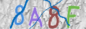 CAPTCHA 驗證圖片