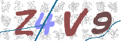 CAPTCHA 驗證圖片