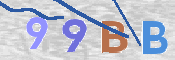 CAPTCHA 驗證圖片