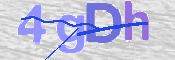 CAPTCHA 驗證圖片