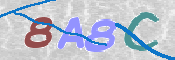 CAPTCHA 驗證圖片