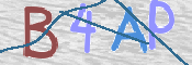 CAPTCHA 驗證圖片