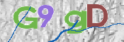 CAPTCHA 驗證圖片