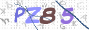 CAPTCHA 驗證圖片
