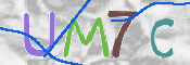 CAPTCHA 驗證圖片