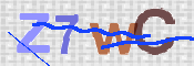 CAPTCHA 驗證圖片