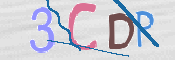 CAPTCHA 驗證圖片
