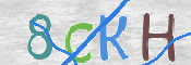 CAPTCHA 驗證圖片