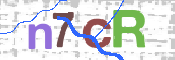 CAPTCHA 驗證圖片