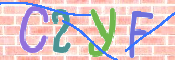 CAPTCHA 驗證圖片
