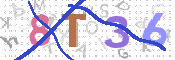CAPTCHA 驗證圖片