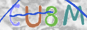 CAPTCHA 驗證圖片