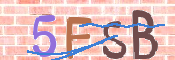 CAPTCHA 驗證圖片
