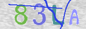 CAPTCHA 驗證圖片