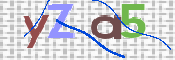 CAPTCHA 驗證圖片