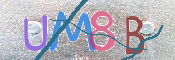 CAPTCHA 驗證圖片