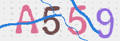 CAPTCHA 驗證圖片