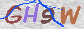 CAPTCHA 驗證圖片