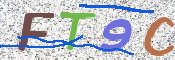 CAPTCHA 驗證圖片