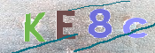 CAPTCHA 驗證圖片