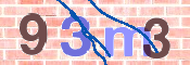 CAPTCHA 驗證圖片