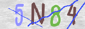 CAPTCHA 驗證圖片
