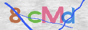 CAPTCHA 驗證圖片