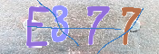 CAPTCHA 驗證圖片